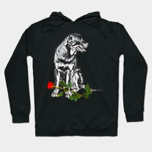 Valentines Rottweiler With Red Rose Hoodie